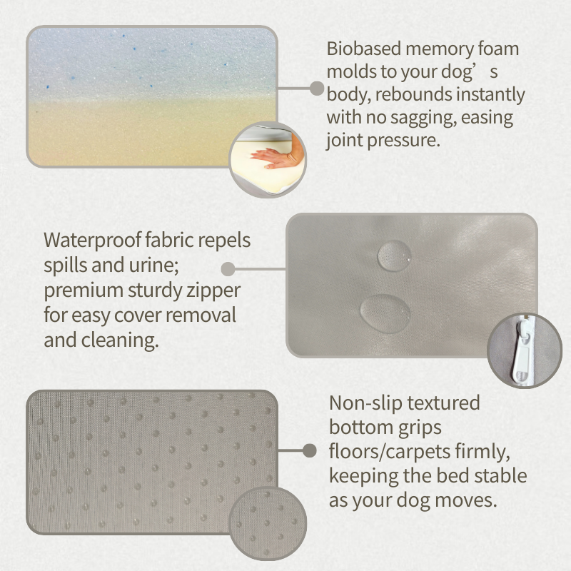 Convertible Memory Foam Dog Bed