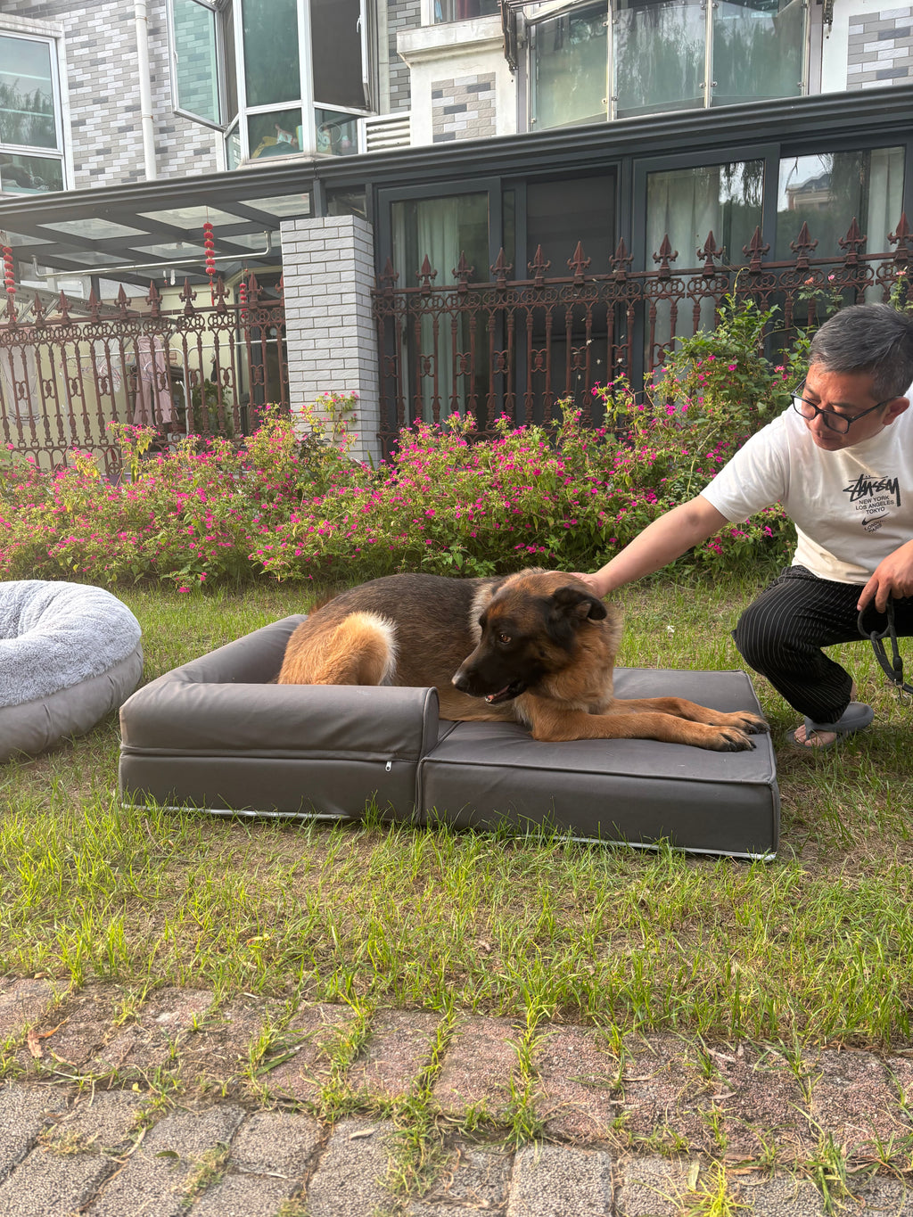 Convertible Memory Foam Dog Bed