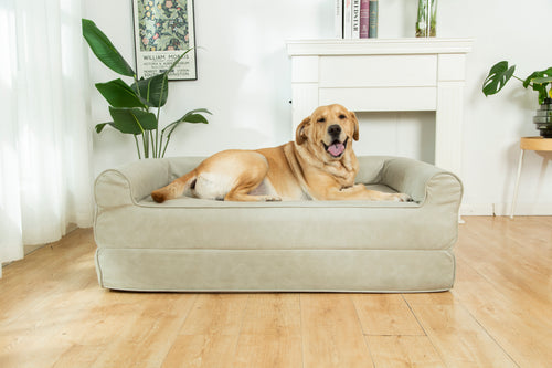 Convertible Memory Foam Dog Bed