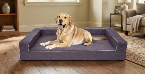 Memory Foam Dog Bed 360-Degree Waterproof