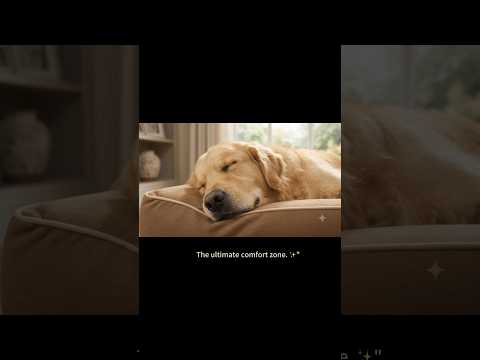 Memory Foam Dog Bed 360-Degree Waterproof
