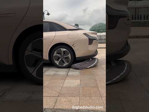 Memory Foam Dog Bed 360-Degree Waterproof